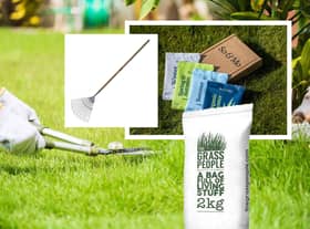 Everything you need to maintain your lawn throughout the year