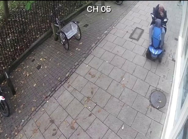 <p>Screen Grab from footage of a pigeon crushed by a man in a scooter.</p>