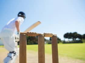 Only youth games will be allowed to be played at Colehill Cricket Club now