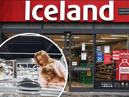 Iceland has teamed up with Currys and Birds Eye to hand out free freezers to low income families