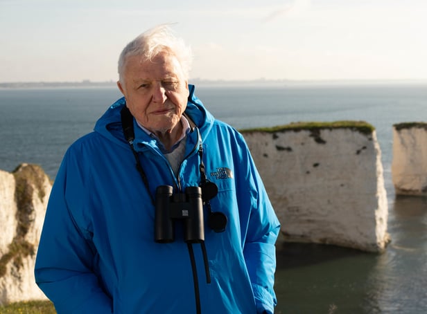 <p>Sir David Attenborough presents Wild Isles</p>