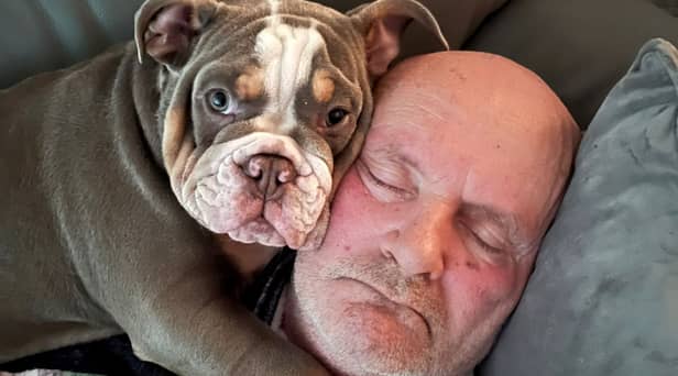 Ain’t nothing but a hound, Doc: David Lindsay with his British Bulldog puppy, Harley. 