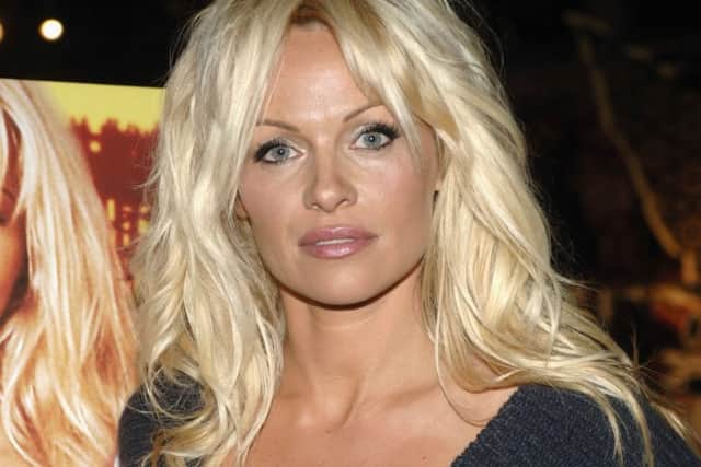 Baywatch star and well-known animal activist Pamela Anderson (photo: John M. Heller/Getty Images)