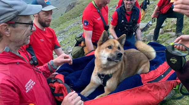 The dog was "positively regal" while being carried down England's highest peak