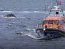 Dolphins swim alongside RNLI lifeboat in Whitby, North Yorkshire. 