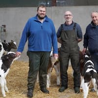 Tackling calf pneumonia from day one in county Antrim
