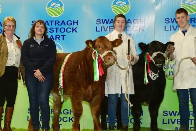 2018 Commercial Limousin champion Candy Floss and reserve champion Black Jack with judge June Dowie and Elizabeth Rodgers, NICCEC