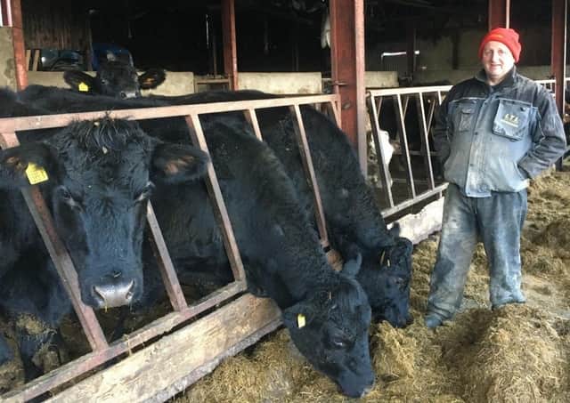 Ronnie Boyd on his farm at Drumquin with a group of replacement heifers which calved at 24 months in spring 2019