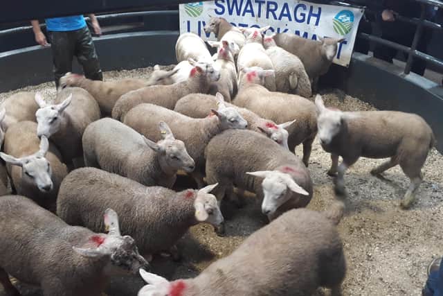 Swatragh Mart