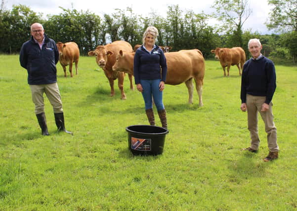 Discussing the benefits of Crystalyx Garlyx as a means of preventing Summer Mastitis: l to r David Morgan, Caltech Crystalyx: Julie Stinson, manager of the Fane Valley Store in Augher and Fivemiletown pedigree Limousin breeder Sean McGeehan