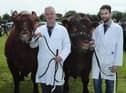 The Elliott family and their Saler cattle is a common sight at Omagh Show