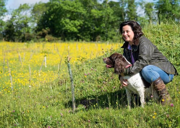 Carolyn Trimble from IndiWoods inspecting one of their newly planted woodlands with Sennen, her Springer Spaniel.