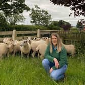 Laura Fulton pictured with a batch of ewe lambs