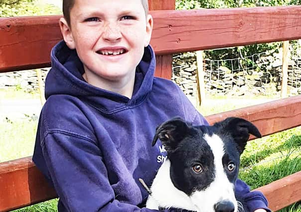 Six-year-old Daniel Mullaney with his parents’ world record price £2,350 pup, Jim