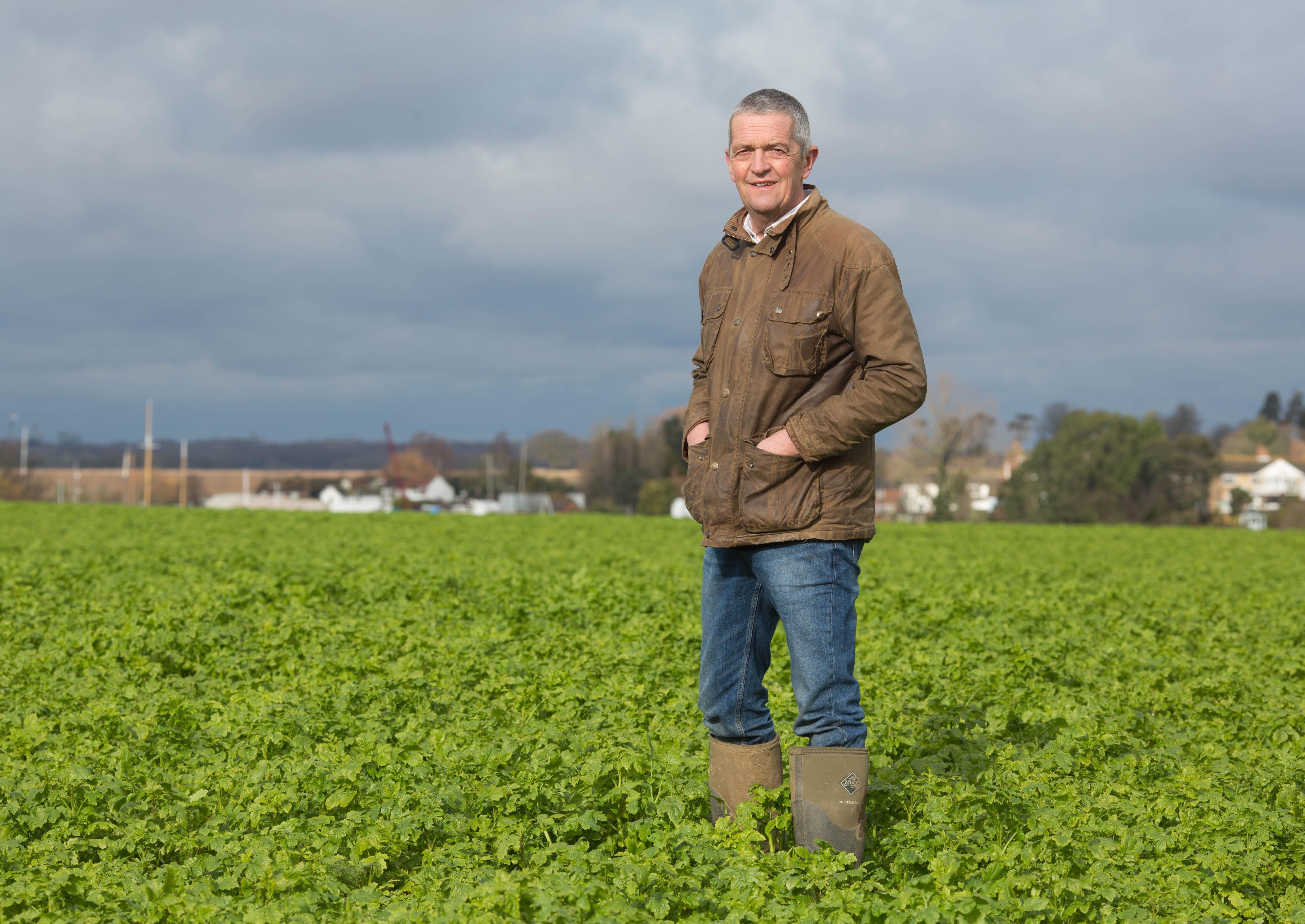 New Red Tractor Crops Sector chair