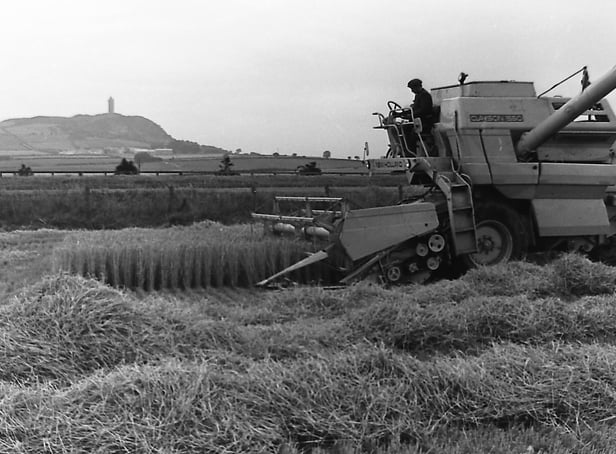 Harvester in operation with Scrabo Hill in the distance in September 1980. Picture: Farming Life archives