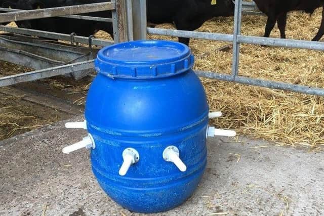 Ivan McMullan uses homemade milk barrels to feed purchased dairy beef calves on his farm overlooking Carnlough, Co Antrim. They have eight teats, are cheap, simple and effective.