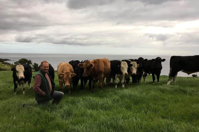 The first batch of calves purchased last year and now in their first summer grazing on Ivan McMullan’s farm above Carnlough, Co Antrim. Ivan is impressed with their growth and performance at grass and how well they are able to utilise grass on smaller awkward grazing fields that do not suit the main suckler herd.