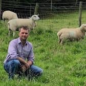 Richard Graham with a ewe and her lambs