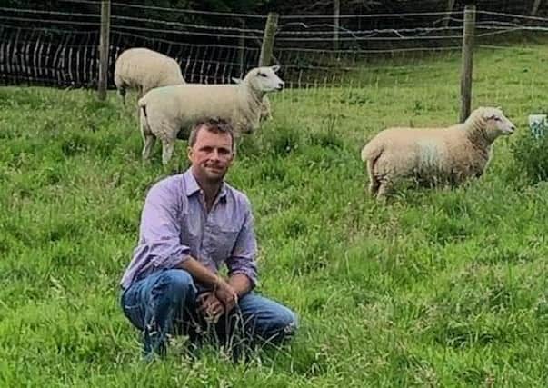 Richard Graham with a ewe and her lambs