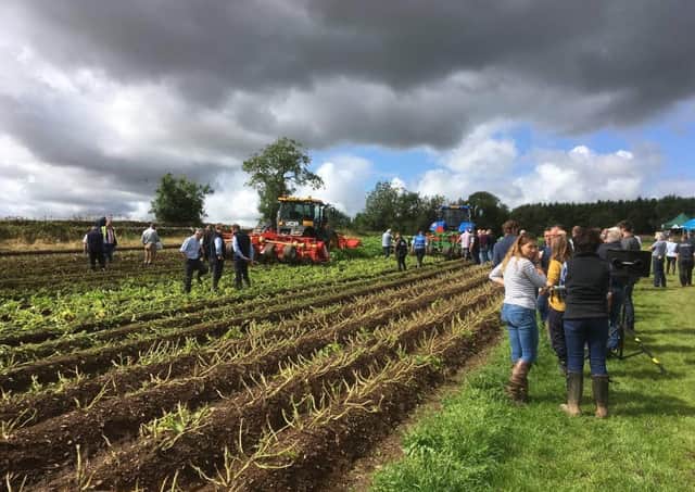 A demonstration of triple bed haulm flailers at Potatoes in Practice in 2019 prior to the introduction of social distancing guidance