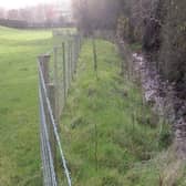 A EFS 2m riparian fence