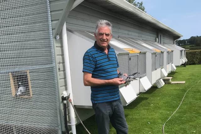 Trevor Agnew - A & T Agnew - Ballyclare & Dist - Won opening 2 young bird races