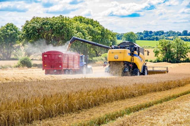The anticipated 5 million tonne reduction in the GB wheat crop has already been factored into the market some weeks ago and local traders have looked to shipments from Denmark and the Baltic region for the bulk of the half million tonnes of feed wheat required by Northern Ireland’s livestock producers