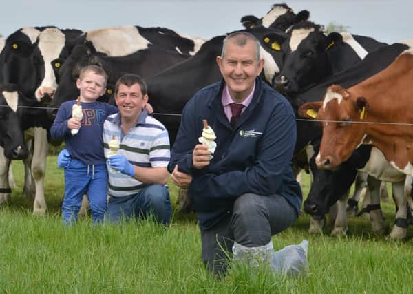 Minister Edwin Poots visited Hollowbridge Farm following the announement that the dairy and beef sector will get £25m in sopport to deal with the impacts of COVID19. Pictured  with farm owner Stephen Gibson and his 7 yr old son Stuart Gibson.
Photo by Simon Graham.