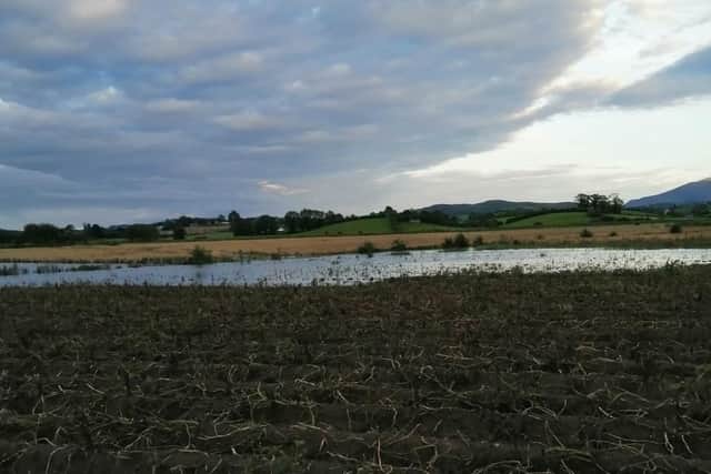 Drumadonnell River in the townland of Drumadonnell, Ballyward Co Down, is one of the rivers that burst its banks and set against the backdrop of one of Northern Ireland’s iconic landscapes the Mourne Mountains, potato crops are submerged under water