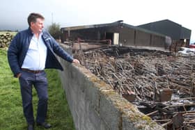 
Farm owner Trevor Shields surveys the scene of devastation as up to 2,000 pigs have been killed in a fire in Kilkeel. Photo: Pacemaker.