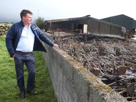 Farm owner Trevor Shields surveys the scene of devastation as up to 2,000 pigs have been killed in a fire in Kilkeel. Photo: Pacemaker.