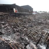 The Fire Service said the number of animals killed was estimated at between 1,500 and 2,000