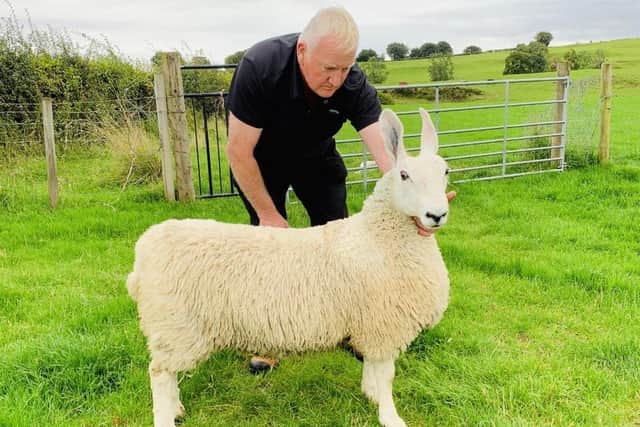Border Leicester Virtual Show Judge Duncan Whyte "Mearns" Scotland with one of his favourite Ewe Lambs