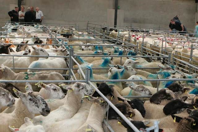 Armoy Mart