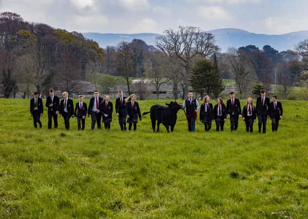 Angus Beef Competition. 
Photo Chris Bellew /Fennell Photography Copyright 2019