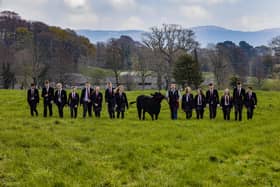 Angus Beef Competition. 
Photo Chris Bellew /Fennell Photography Copyright 2019