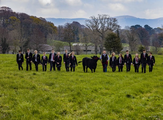 Angus Beef Competition. Photo Chris Bellew /Fennell Photography Copyright 2019