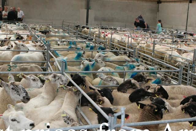 Armoy Mart