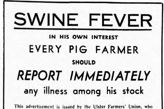 An advertisement issued by the Ulster Farmers’ Union concerning the swine fever outbreak which appeared in the News Letter in September 1956