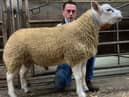 The top price ram lamb selling at 600gns from Nathan Armstrong's Dynawhite consignment.
