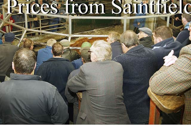 Saintfield Cattle Market, Friday 3rd October, 2008. Pictures: Diane Magill
