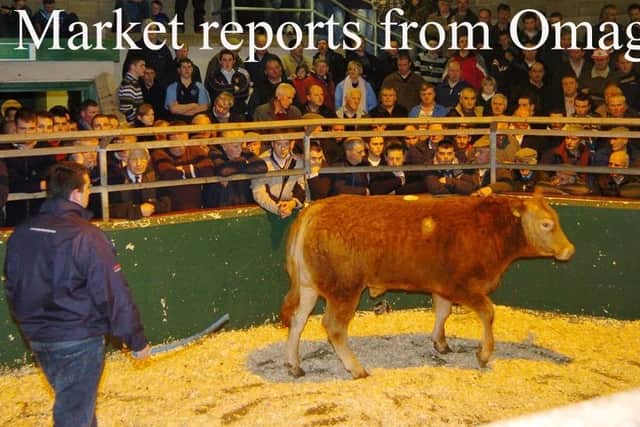 Filled to the rafters - the scene during the annual Christmas Fatstock show and sale in Omagh Auction mart.