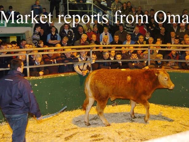 Filled to the rafters - the scene during the annual Christmas Fatstock show and sale in Omagh Auction mart.