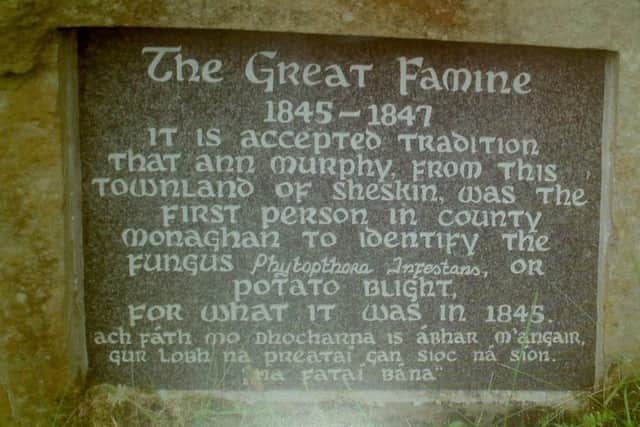It is reputed that Phytophthora infestans or potato blight made its first appearance in Ireland in the townland of Sheskin, Co Monaghan in August 1845, about three miles outside of the village of Scotstown, which notoriety is now marked by the Famine Stone located at the bottom of Black Hill in the locality