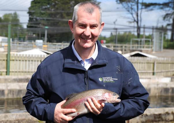 Press Eye - Belfast - Northern Ireland - 25th May 2020 -  

Fisheries Minister Edwin Poots MLA has announced a £360,000 emergency support package for Northern Ireland's aquaculture sector.

Minister Poots is pictured after announcing the emergency support package during a visit to Movanagher Fish Farm in Ballymoney.

Photo by Kelvin Boyes / Press Eye.