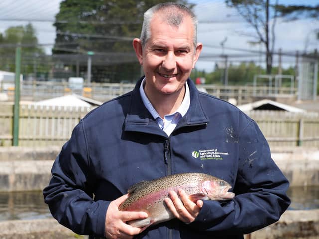 Press Eye - Belfast - Northern Ireland - 25th May 2020 -  

Fisheries Minister Edwin Poots MLA has announced a £360,000 emergency support package for Northern Ireland's aquaculture sector.

Minister Poots is pictured after announcing the emergency support package during a visit to Movanagher Fish Farm in Ballymoney.

Photo by Kelvin Boyes / Press Eye.