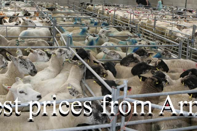 Armoy Mart