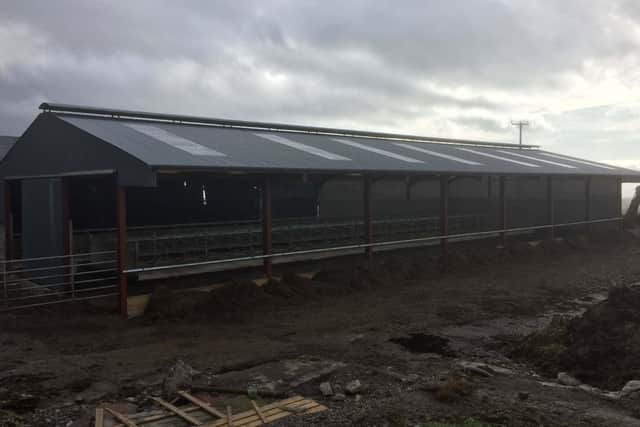 A shed designed with 3 rows of cubicles and external feeding, giving 45cm feed space per cow with simple post and rail feeding and clearly showing the outlet ventilation through a protected open ridge.