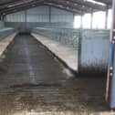 Passage widths and cubicle bed lengths should never be compromised in a dairy building.